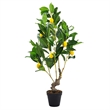 Artificial Lemon Tree with Lifelike Lemon- Black Pot- Lifelike 32 Inch