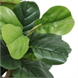 Wyatt 7 Ft Artificial Banyan Tree- Multibranch Trunk- Poly Silk 83 Inch