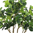Wyatt 7 Ft Artificial Banyan Tree- Multibranch Trunk- Poly Silk 83 Inch