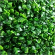 Zyra Artificial Boxwood Topiary Ball- Set of 2- Green Poly Silk 20 Inch