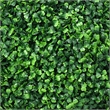 Zyra Artificial Boxwood Topiary Ball- Set of 2- Green Poly Silk 16 Inch