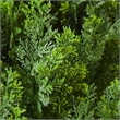 Tahya Cedar Topiary Tree- Set of 2- Iron Frame- Lifelike Poly Silk 48 Inch