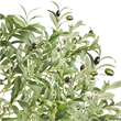 Lucas Olive Tree- Stainless Steel Branches- Lifelike Poly Silk 70 Inch
