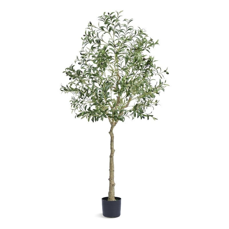 Lucas Olive Tree- Stainless Steel Branches- Lifelike Poly Silk 70 Inch