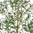 Ezra Artificial Olive Tree with Black Pot- Lifelike Poly Silk 61 Inch