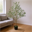 Ezra Artificial Olive Tree with Black Pot- Lifelike Poly Silk 61 Inch