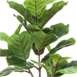 Moona Fiddle Leaf Fig Tree- 28 PEVA Leaves- Lifelike Poly Silk 43 Inch