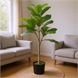 Moona Fiddle Leaf Fig Tree- 28 PEVA Leaves- Lifelike Poly Silk 43 Inch