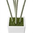 Kren Artificial Dracaena Tree- White Planter- Lifelike Poly Silk 60 Inch