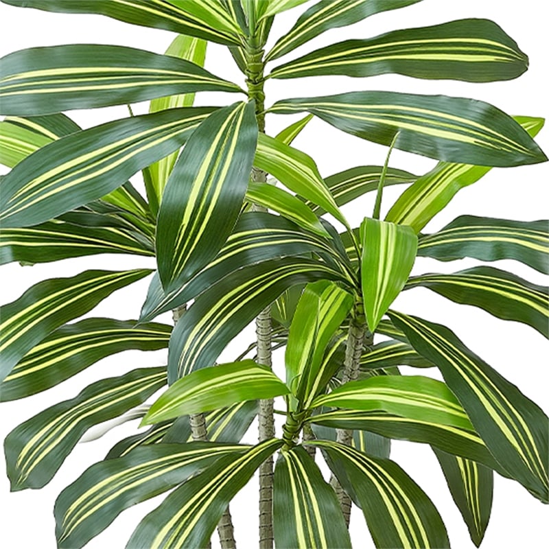 Kren Artificial Dracaena Tree- White Planter- Lifelike Poly Silk 60 Inch