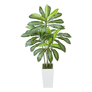 Kren Artificial Dracaena Tree- White Planter- Lifelike Poly Silk 60 Inch