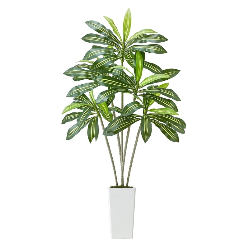 Kren Artificial Dracaena Tree- White Planter- Lifelike Poly Silk 72 Inch