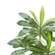 Kren Artificial Dracaena Tree- White Planter- Lifelike Poly Silk 72 Inch