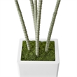 Kren Artificial Dracaena Tree- White Planter- Lifelike Poly Silk 72 Inch