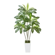 Kren Artificial Dracaena Tree- White Planter- Lifelike Poly Silk 72 Inch