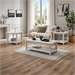 Jade 3pc Coffee Table & End Table- Slatted Shelf- Distress White Bun Legs