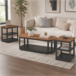 Dany 3pc Coffee Table & End Table- Lower Shelf- Brown Top & Black Base