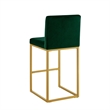 Enola Counter-Height Bar Stool Chair- Set of 2- Gold Metal- Jade Velvet