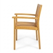 Alison Outdoor Dining Chair Set of 2- Brown Acacia Wood- Slat Panel
