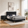 Queen Bedroom Set- Black and Gold- 2 Piece Set with Nightstand