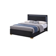 King Bedroom Set- Black and Gold- 2 Piece Set with Nightstand