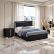 King Bedroom Set- Black and Gold- 2 Piece Set with Nightstand