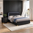 King Bedroom Set- Black and Gold- 2 Piece Set with Nightstand