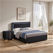 Queen Bedroom Set- Black and Gold- 2 Piece Set with Nightstand