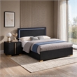 Queen Bedroom Set- Black and Gold- 2 Piece Set with Nightstand