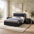 Queen Bedroom Set- Black and Gold- 3 Piece Set with 2 Nightstands