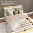 Bush Home Vera Queen Platform Bed & 2 Nightstands with Drawer - Premium Wood