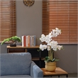 Vintage Home 30