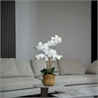 Vintage Home 30