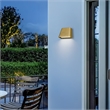 Alteck Bull 5.5 inch Aluminum LED Outdoor Wall Light in Brushed Brass