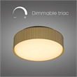 Alteck Channel 9 inch LED Outdoor Flush Mount