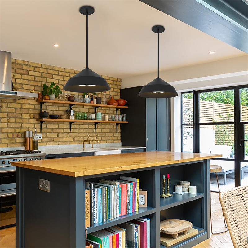 Alteck Nin 14 inch  LED Outdoor Pendant in Black