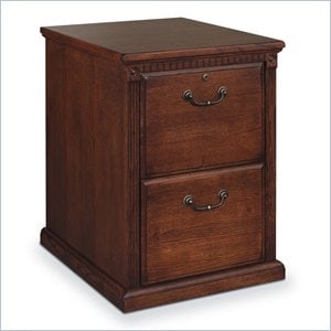 Ashford & Sons Transitional 2-Drawer Wood File Cabinet in Oak