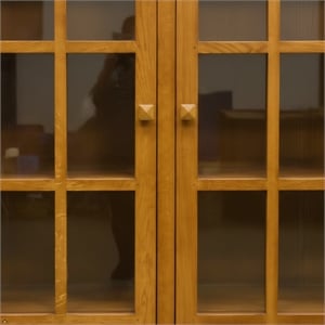 Ashford & Sons Traditional 2-Doors Wood Bookcase with 3 Shelves in Cherry