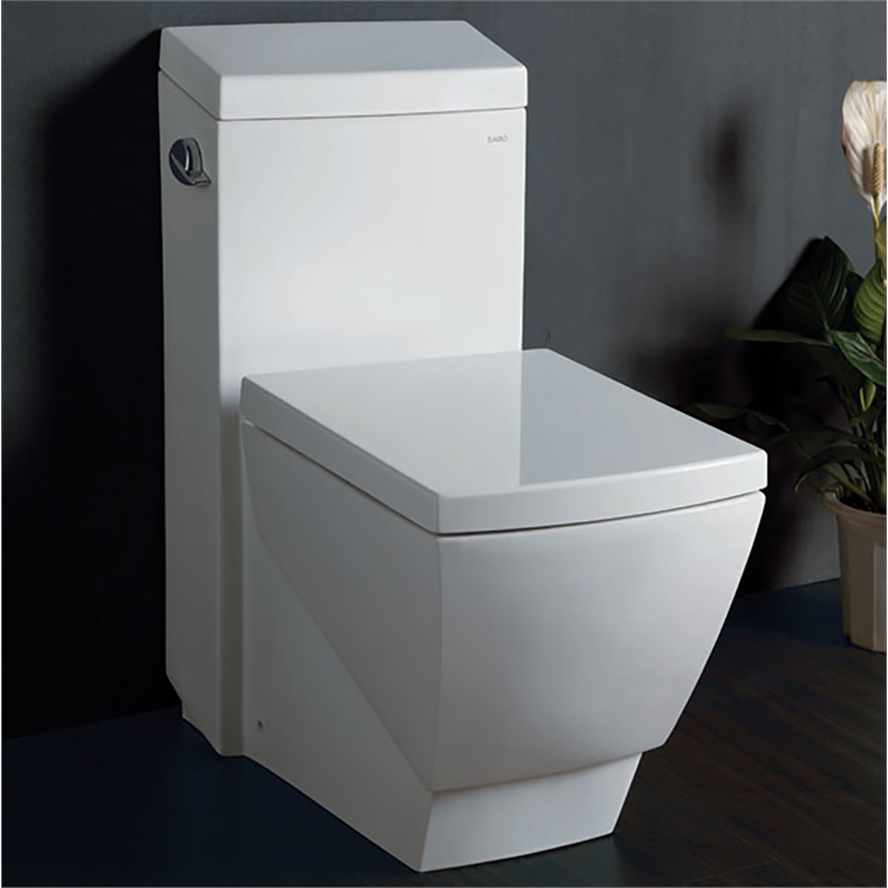 EAGO TB336 White Ceramic One Piece High Efficiency Low Flush Cermaic Toilet