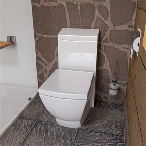 EAGO TB336 White Ceramic One Piece High Efficiency Low Flush Cermaic Toilet
