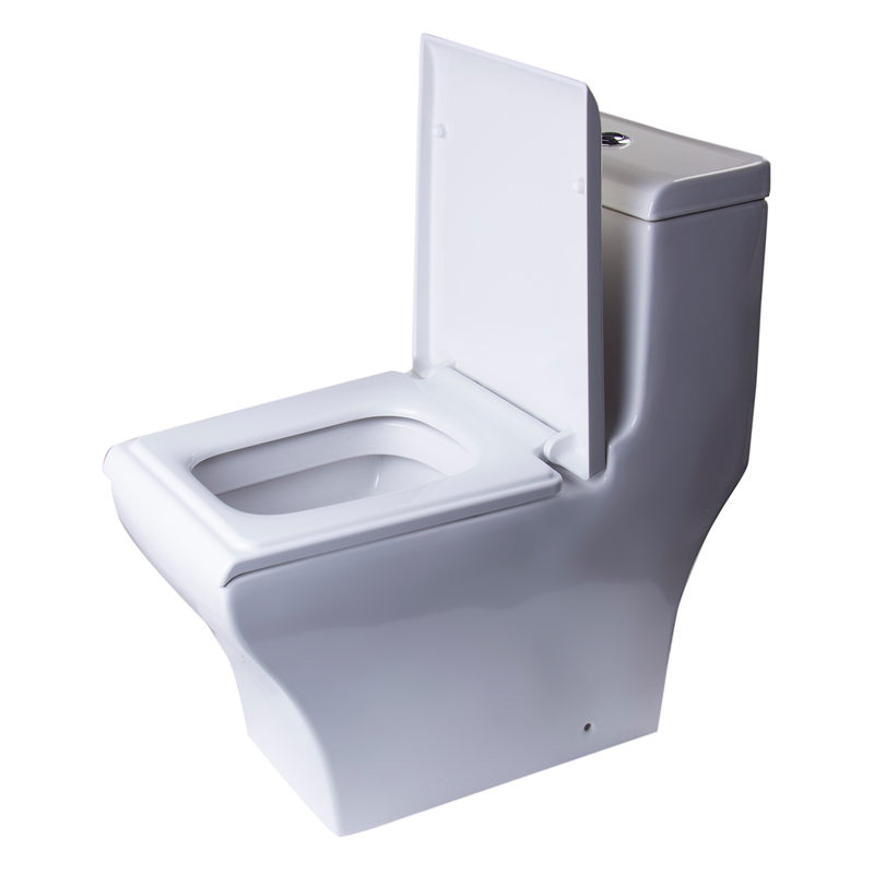 EAGO TB356 White Ceramic Dual Flush One Piece High Efficiency Ceramic Toilet