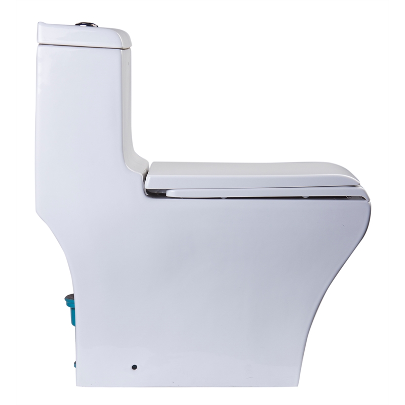 EAGO TB356 White Ceramic Dual Flush One Piece High Efficiency Ceramic Toilet