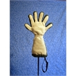 Brightspot Spotless Paw Dog Cleaning Glove in White