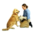Brightspot Spotless Paw Dog Cleaning Glove in White