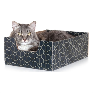 Brightspot Purrfect Cat Box in Blue