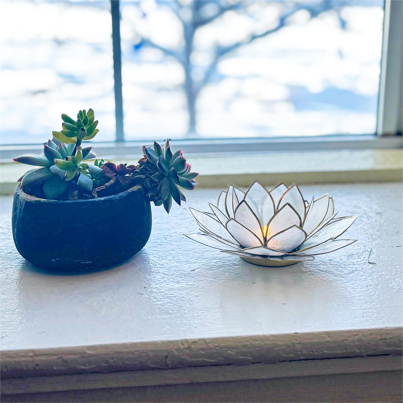 Brightspot Moonshadow Capiz Shell Tea Light Holder in Natural