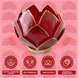 Brightspot Blooming Lotus Capiz Shell Tea Light Holder in Red