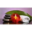 Brightspot Blooming Lotus Capiz Shell Tea Light Holder in Red