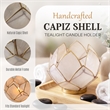 Brightspot Blooming Lotus Capiz Shell Tea Light Holder in Natural