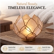 Brightspot Blooming Lotus Capiz Shell Tea Light Holder in Natural